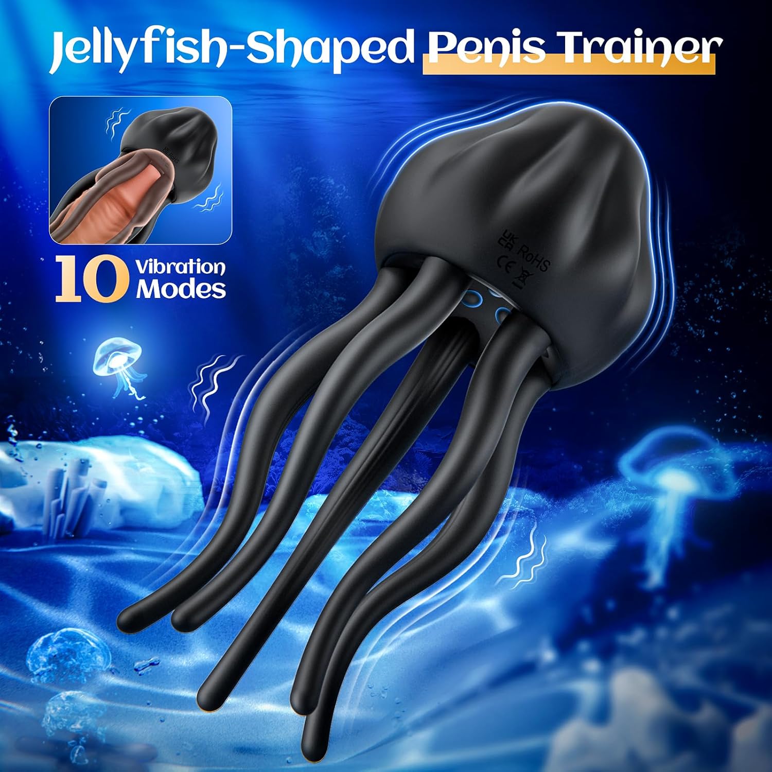 Jellyfish